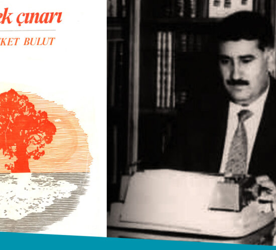 dilek çınarı şevket bulut