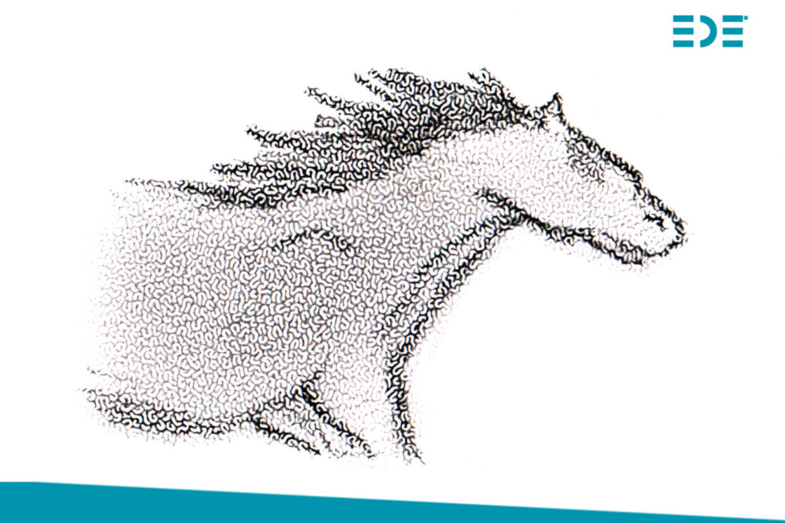 bir arpa boyu yol ayşe filiz yavuz