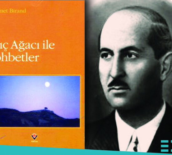 Alıç Ağacı ile Sohbetler Ahmet Hikmet Birand