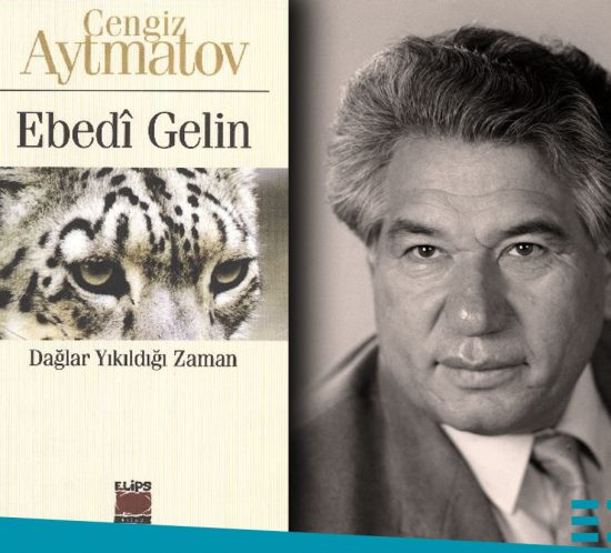 nurettin şafak