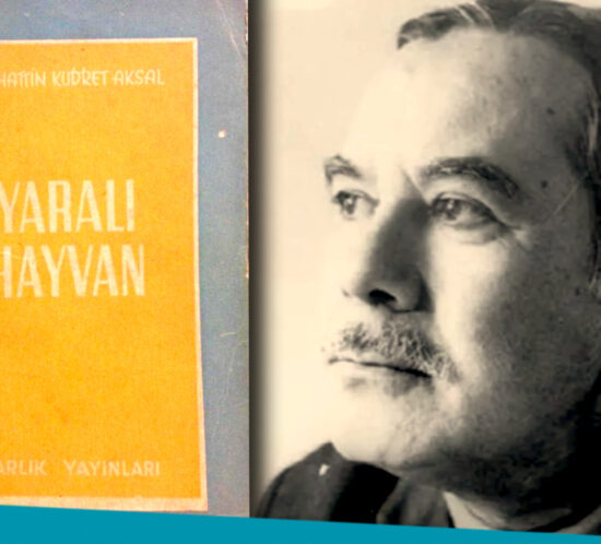 sabahattin kudret arsel